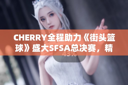 CHERRY全程助力《街头篮球》盛大SFSA总决赛，精彩不容错过