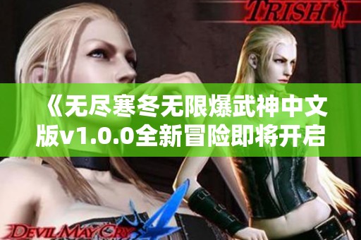 《无尽寒冬无限爆武神中文版v1.0.0全新冒险即将开启》