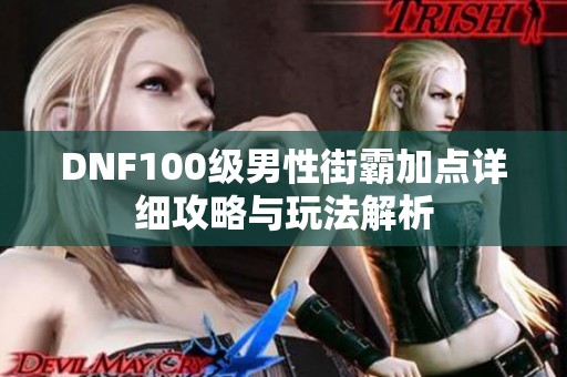 DNF100级男性街霸加点详细攻略与玩法解析