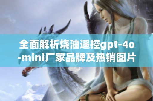 全面解析烧油遥控gpt-4o-mini厂家品牌及热销图片分享