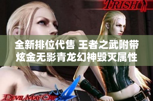 全新排位代售 王者之武附带炫金无影青龙幻神毁灭属性礼包