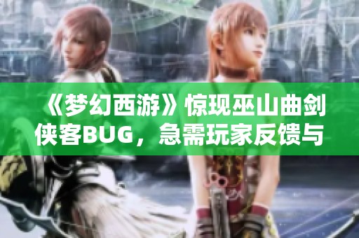 《梦幻西游》惊现巫山曲剑侠客BUG，急需玩家反馈与解决方案