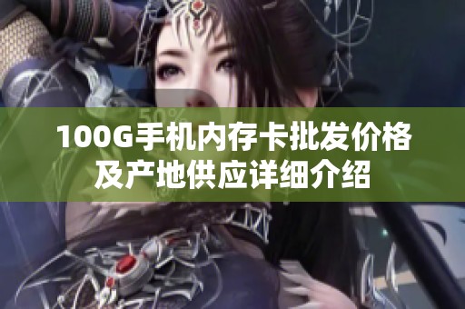 100G手机内存卡批发价格及产地供应详细介绍