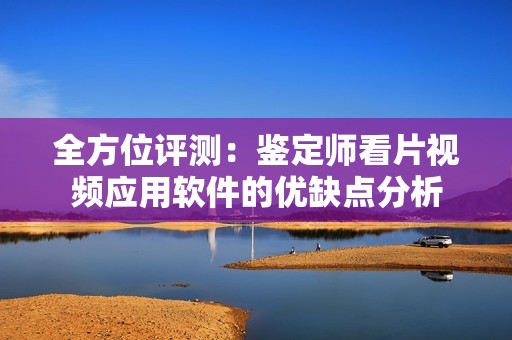 全方位评测：鉴定师看片视频应用软件的优缺点分析