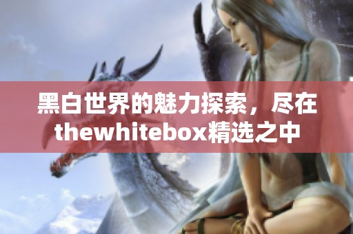 黑白世界的魅力探索，尽在thewhitebox精选之中