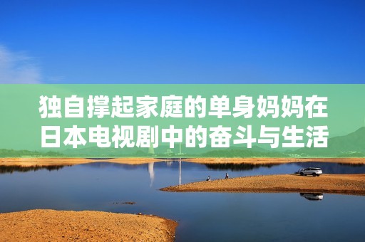 独自撑起家庭的单身妈妈在日本电视剧中的奋斗与生活故事