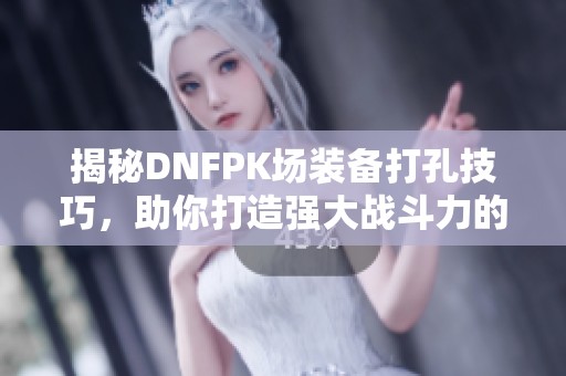 揭秘DNFPK场装备打孔技巧，助你打造强大战斗力的秘密武器