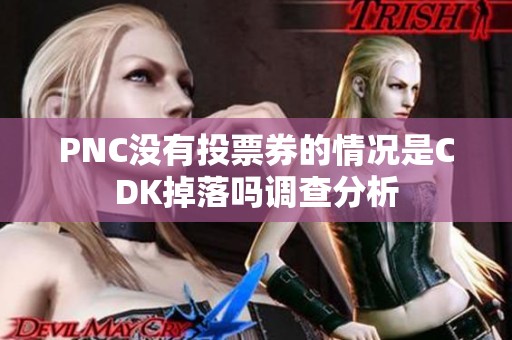 PNC没有投票券的情况是CDK掉落吗调查分析