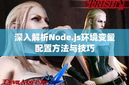 深入解析Node.js环境变量配置方法与技巧