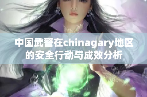 中国武警在chinagary地区的安全行动与成效分析