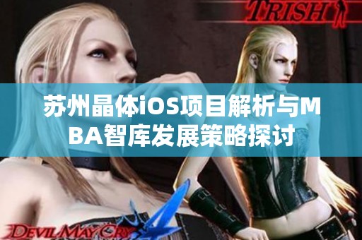 苏州晶体iOS项目解析与MBA智库发展策略探讨