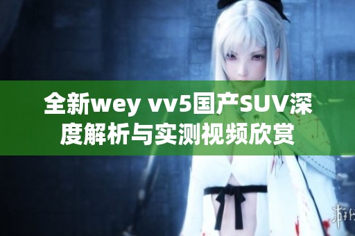 全新wey vv5国产SUV深度解析与实测视频欣赏