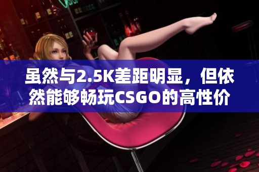 虽然与2.5K差距明显，但依然能够畅玩CSGO的高性价比选择