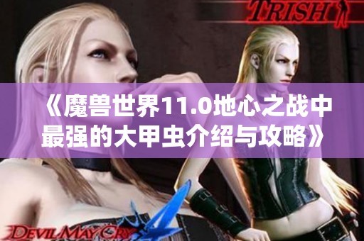 《魔兽世界11.0地心之战中最强的大甲虫介绍与攻略》