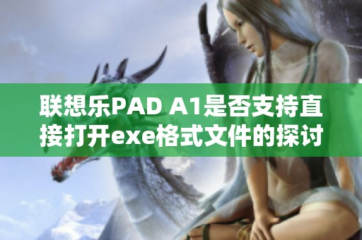 联想乐PAD A1是否支持直接打开exe格式文件的探讨