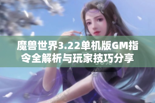 魔兽世界3.22单机版GM指令全解析与玩家技巧分享