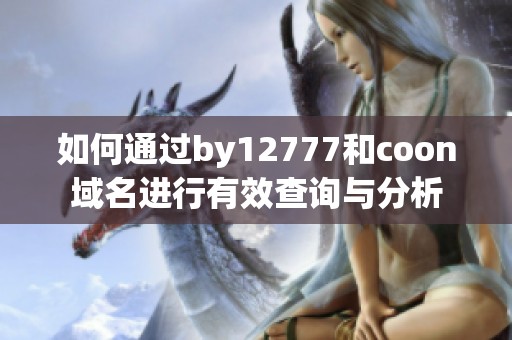 如何通过by12777和coon域名进行有效查询与分析