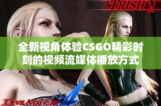 全新视角体验CSGO精彩时刻的视频流媒体播放方式