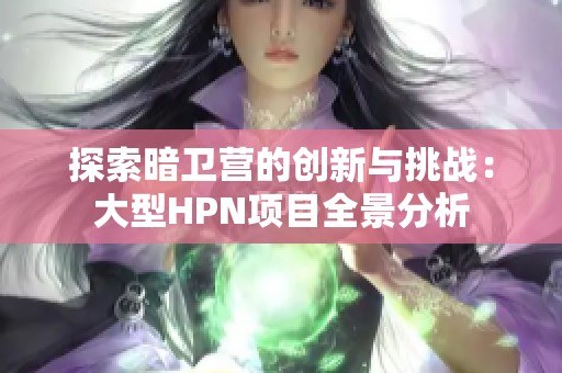 探索暗卫营的创新与挑战：大型HPN项目全景分析