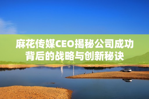 麻花传媒CEO揭秘公司成功背后的战略与创新秘诀