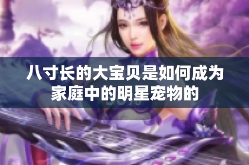 八寸长的大宝贝是如何成为家庭中的明星宠物的