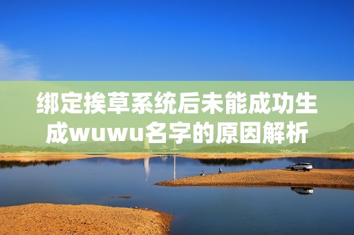 绑定挨草系统后未能成功生成wuwu名字的原因解析