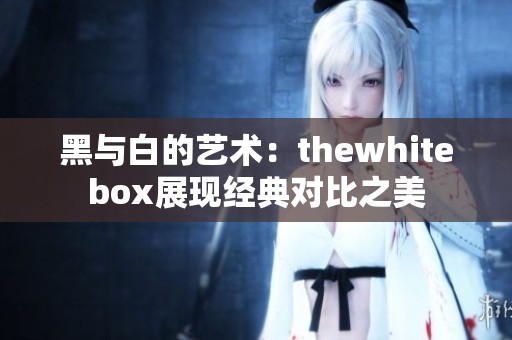 黑与白的艺术：thewhitebox展现经典对比之美