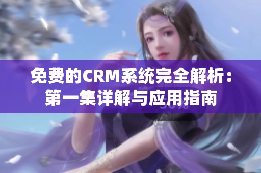 免费的CRM系统完全解析：第一集详解与应用指南