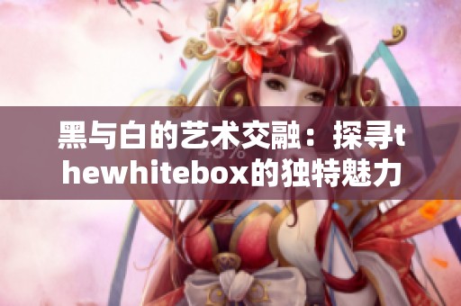 黑与白的艺术交融：探寻thewhitebox的独特魅力