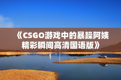 《CSGO游戏中的暴躁阿姨精彩瞬间高清国语版》