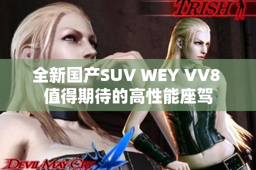 全新国产SUV WEY VV8 值得期待的高性能座驾