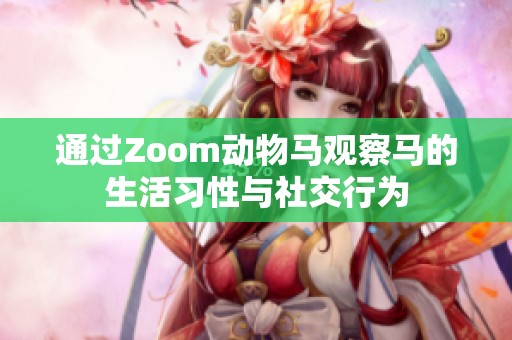 通过Zoom动物马观察马的生活习性与社交行为