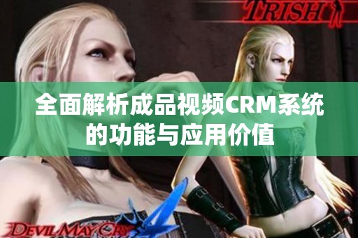 全面解析成品视频CRM系统的功能与应用价值