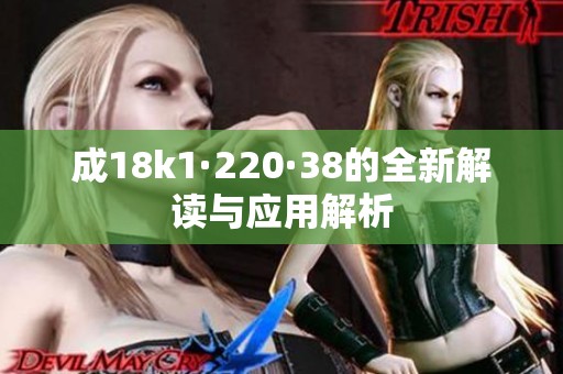 成18k1·220·38的全新解读与应用解析