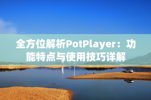 全方位解析PotPlayer：功能特点与使用技巧详解