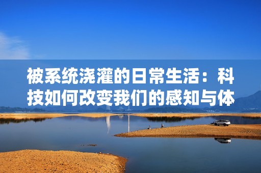 被系统浇灌的日常生活：科技如何改变我们的感知与体验