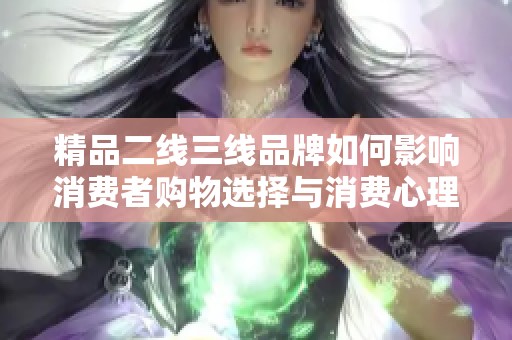 精品二线三线品牌如何影响消费者购物选择与消费心理