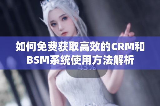 如何免费获取高效的CRM和BSM系统使用方法解析