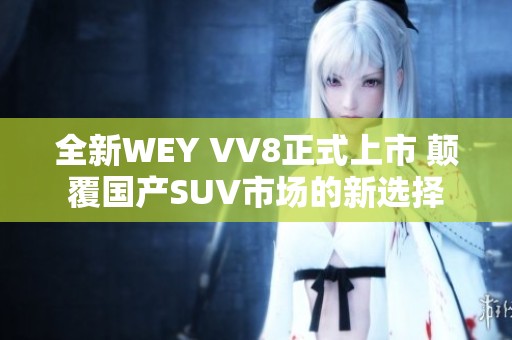 全新WEY VV8正式上市 颠覆国产SUV市场的新选择