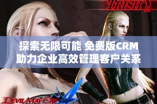 探索无限可能 免费版CRM助力企业高效管理客户关系