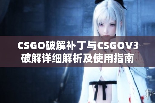 CSGO破解补丁与CSGOV3破解详细解析及使用指南