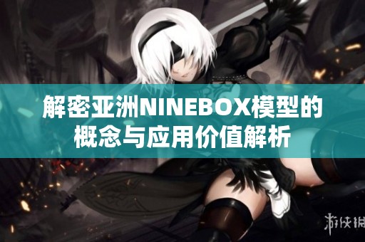 解密亚洲NINEBOX模型的概念与应用价值解析