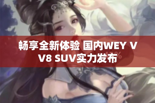 畅享全新体验 国内WEY VV8 SUV实力发布