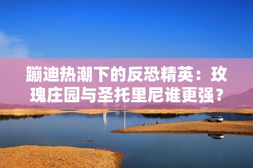 蹦迪热潮下的反恐精英：玫瑰庄园与圣托里尼谁更强？