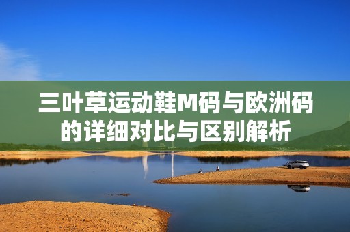 三叶草运动鞋M码与欧洲码的详细对比与区别解析