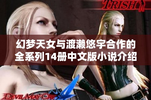 幻梦天女与渡濑悠宇合作的全系列14册中文版小说介绍