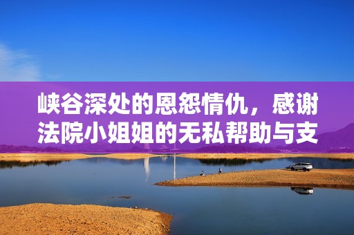 峡谷深处的恩怨情仇，感谢法院小姐姐的无私帮助与支持