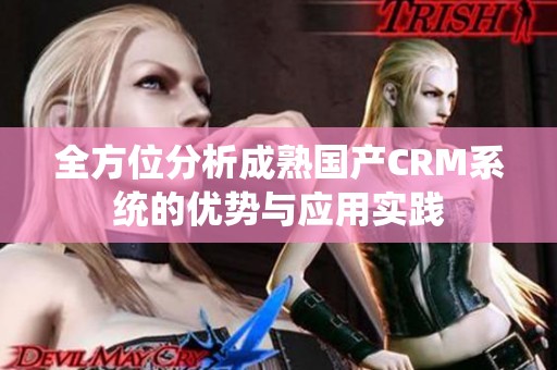 全方位分析成熟国产CRM系统的优势与应用实践