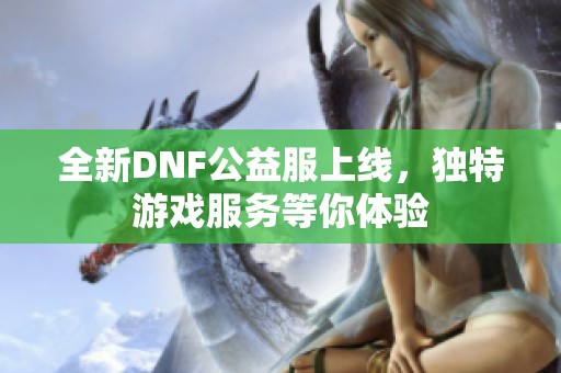 全新DNF公益服上线，独特游戏服务等你体验