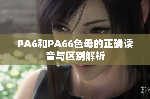 PA6和PA66色母的正确读音与区别解析